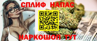 МДПВ Будённовск