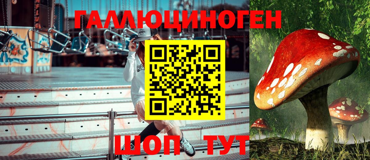 Псилоцибиновые грибы GOLDEN TEACHER Сегежа