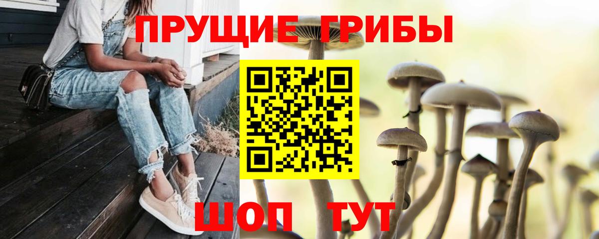 Псилоцибиновые грибы Psilocybe  Вход с VPN  Сегежа 